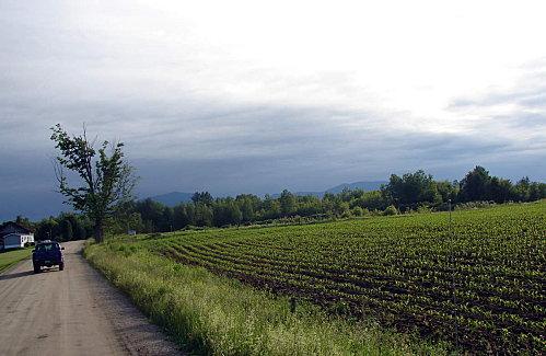 Du vert et des monts DSC09954