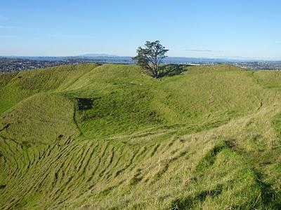 45. Dernier week-end kiwi (sortez vos mouchoirs) 45. Dernier week-end kiwi (sortez vos mouchoirs)