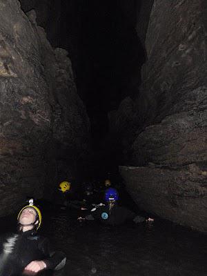 45. Dernier week-end kiwi (sortez vos mouchoirs) 45. Dernier week-end kiwi (sortez vos mouchoirs)