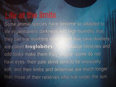 45. Dernier week-end kiwi (sortez vos mouchoirs) 45. Dernier week-end kiwi (sortez vos mouchoirs)