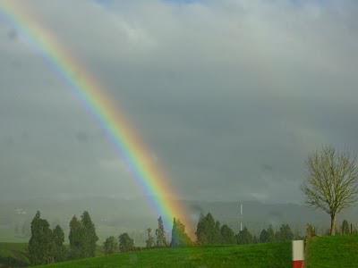 45. Dernier week-end kiwi (sortez vos mouchoirs) 45. Dernier week-end kiwi (sortez vos mouchoirs)