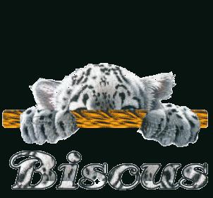 Comment c'est de...vieillir ? tu8teh91.gif