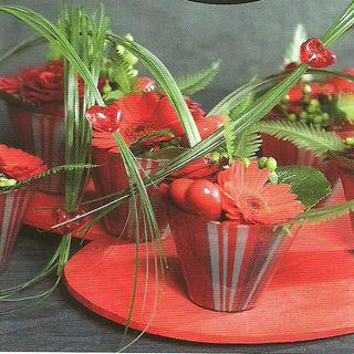 Hypéricum Hypericum_05