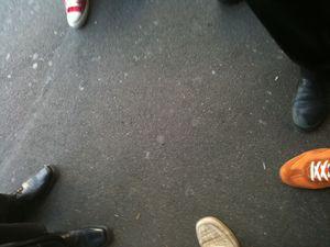 La queue de la comète ... IMG_1332_1_