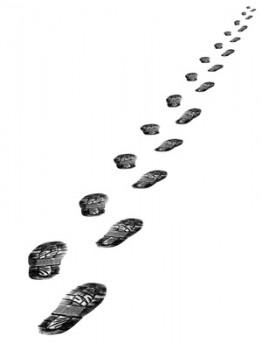 Tracks of shoes 109ème sortie – Presque 1000km