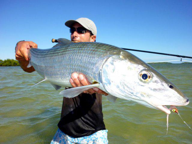 RUDY-BIG-BONE-SMALL BIG BONES FROM NEW CALEDONIA / MASTA BONEFISH DE NOUVELLE CALEDONIE