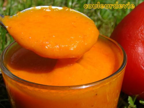 Coulis de poivrons rouges au thermomix Coulis de poivrons rouges au thermomix