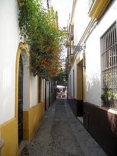 Dans les étroites rues du centro de Sevilla