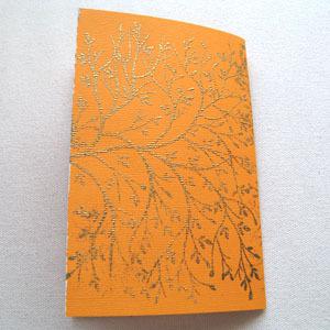 Cartes d'anniversaires 2010 : la jumelle 2010 carte papa 5 blog