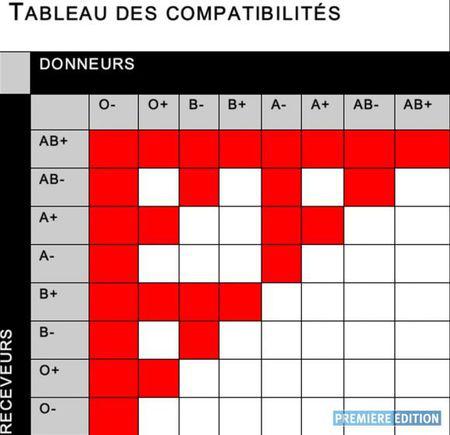 Les Groupes Sanguins - Paperblog