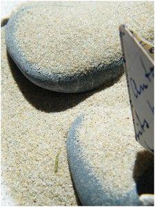 ETE ...Nouvelle saison, pour beaucoup celle des VacancesD... DSCF3887b