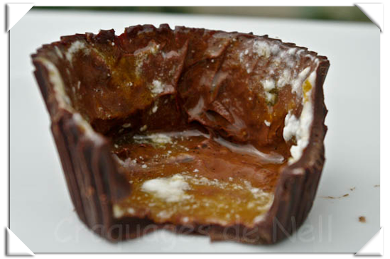 Caissette en chocolat, compotée d'abricots à la vanille et mousse à la noix de coco _IGP0596