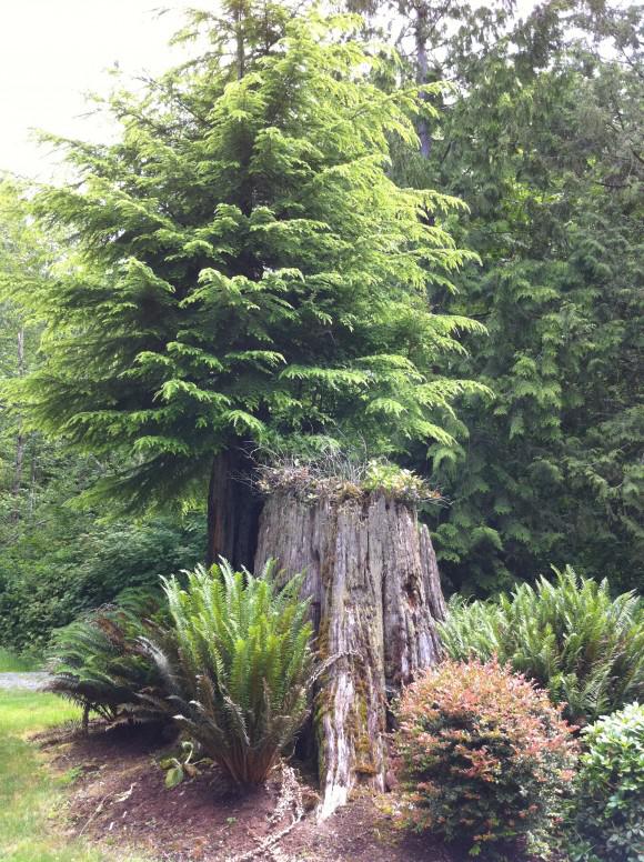 Photo 4 Test photo et vidéo HD de l’iPhone 4