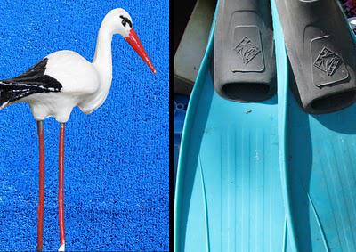 Enfin il fait bleu ! Enfin il fait bleu !