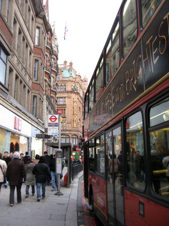 IMG_5571.JPG, nov. 2009 IMG_5571.JPG