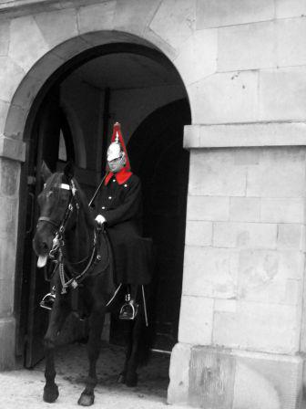 IMG_5415nbr.JPG, nov. 2009 IMG_5415nbr.JPG