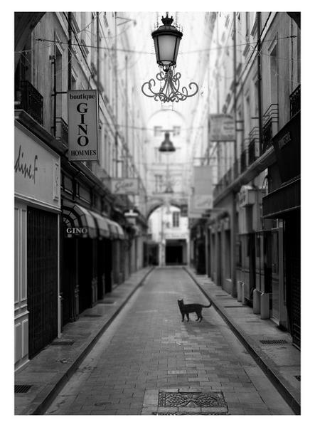 Poeme de TheDissident : Episode 1 : Seul. Poeme de TheDissident : Episode 1 : Seul.