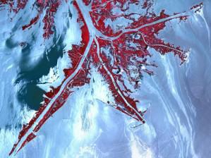 le-delta-du-mississippi-asphyxie_620x465 Marée noire de BP : le grand triomphe du capitalisme à court terme