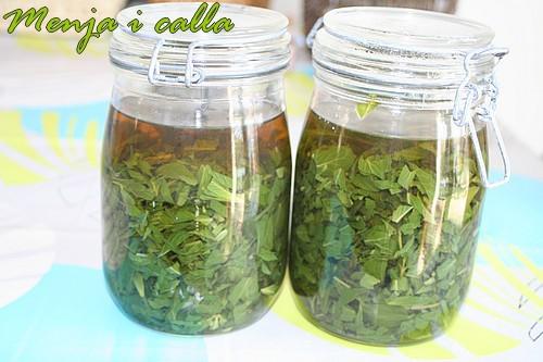 Sirop de menthe sirop-menthe.jpg