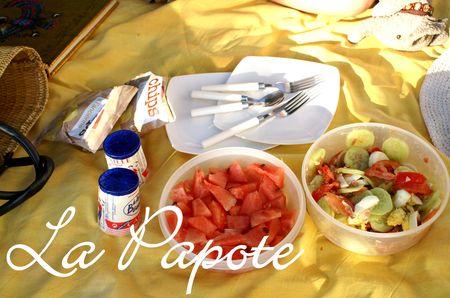 Le pique-nique sur la lune PICT0019