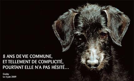 http://www.roycod.com/images/uncrimeordinaire3.jpg