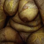 [Photo + Eros = Points de vue #22] Marco Guerra