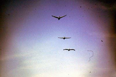 Tue les fantômes dans ta tête et laisses-y s'épanouir les... Tue les fantômes dans ta tête et laisses-y s'épanouir les...