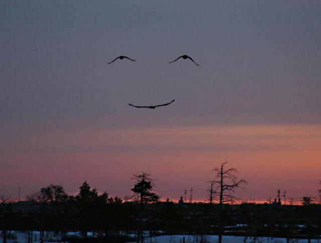 l'image du jour: lorsque le ciel vous fait un sourire