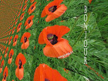 Recette express bloggif_4bfeae618753e-copie-1.jpg