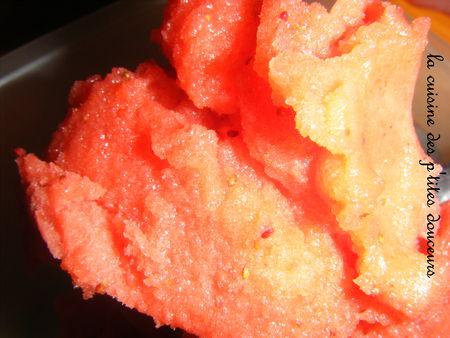 Sorbet à la fraise DSCF5647