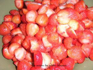 Sorbet à la fraise DSCF5650