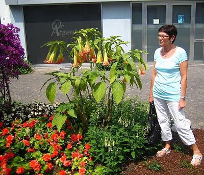 Escapade à Malmédy ville où je suis née! Escapade à Malmédy ville où je suis née!