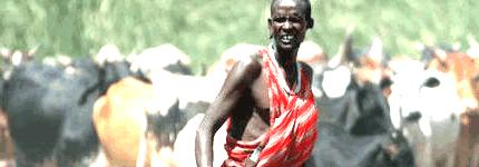 Africa-1 Africa-1