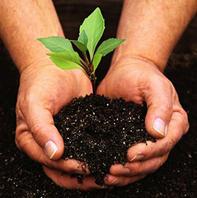 Les 10 gestes de l’éco-jardinage