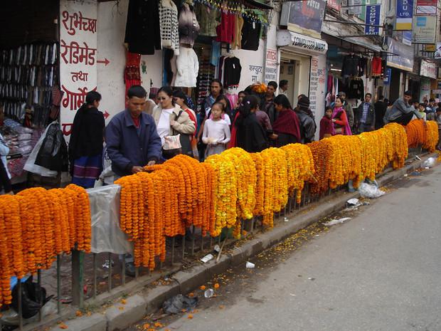 Fête de Tihar, Katmandou, Népal Fête de Tihar, Katmandou, Népal