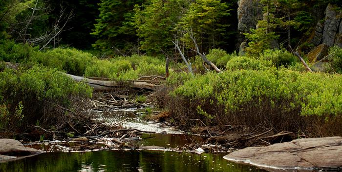 Photo : Cinthia Chouinard Les 10 commandements du voyageur estival