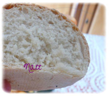 Petits pains aux graines petits_pains_aux_graines_2