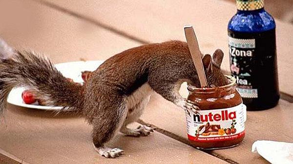 nutella chocolat nutella.jpg