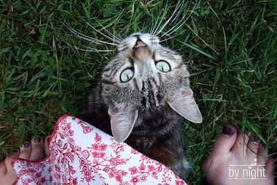 la plus belle pour l'été.. la plus belle pour l'été..