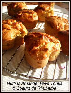 La rhubarbe , j'adore et vous ?? récapitulatif des vos recettes Muffins_Amande__F_ve_Tonka___Coeurs_de_Rhubarbe_004