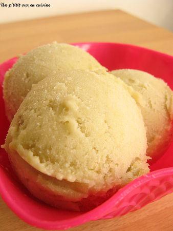 La rhubarbe , j'adore et vous ?? récapitulatif des vos recettes g