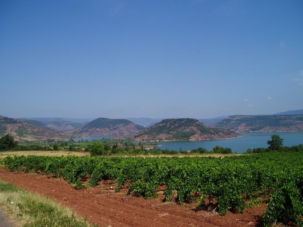 lac du salagou et vignes lac du salagou et vignes coup de coeur Les Terrasses du Larzac : le nouvel Eldorado Languedocien !