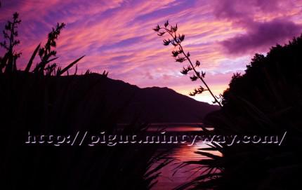 LakeMonowaiNZArmandPIGUT Lake Monowai - New Zealande