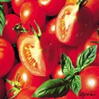 Le départ en vacances : Tous au camping serviettes tomates.jpg