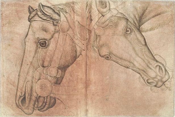 Pisanello - Deux têtes de chevaux harnachés b, 1380-1456