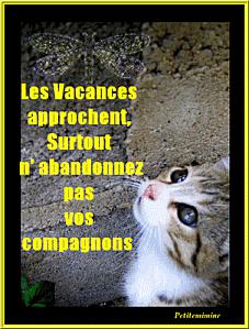 Pitié pour les animaux aussi Pitié pour les animaux aussi