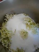 Les fleurs de sureau pour parfumer une panna cotta et son granité et du sirop à savourer toute l'année