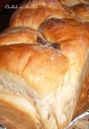 Brioche façon Challah au chocolat DSCF5869