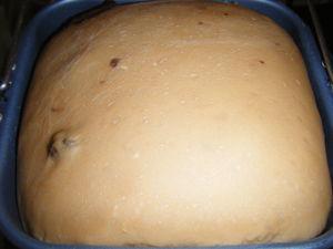 Brioche façon Challah au chocolat DSCF5856