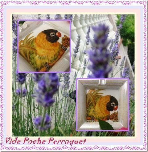 vp perroquet vp perroquet